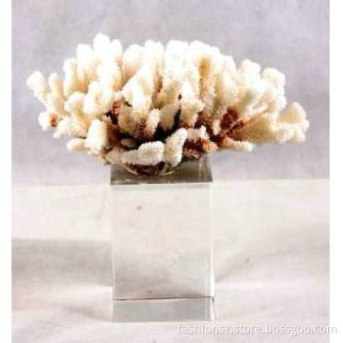 Fashion  decorative coral